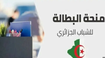 في مكانك.. رابط تجديد منحة البطالة في الجزائر 2024 عبر الوكالة الوطنية للتشغيل 