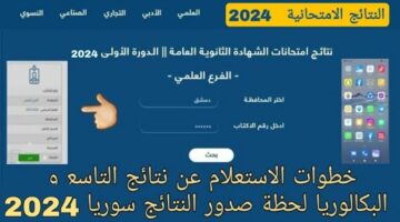 رابط نتائج البكالوريا سوريا 2024 النتائج الامتحانية moed.gov.sy نتائج الباك السورية موقع علوم للجميع