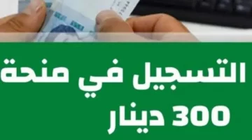 سجل الان.. وزارة الشؤون الاجتماعية توضح خطوات التقديم على منحة 300 دينار تونسي 2024 وشروط الاستحقاق