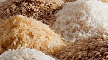 بكام الكيلو ؟ .. سعر طن الأرز الشعير اليوم الأربعاء 3 يوليو 2024 في جميع الاسواق