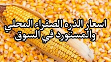 بكام الطن .. سعر طن الذرة الصفراء اليوم الأربعاء 3 يوليو 2024 في جميع الاسواق