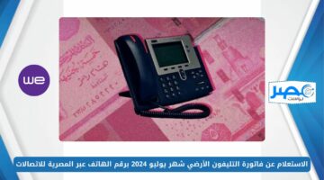 الاستعلام عن فاتورة التليفون الأرضي شهر يوليو 2024 برقم الهاتف عبر المصرية للاتصالات te.eg