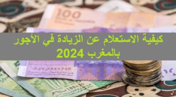 الجريدة الرسمية”.. الزيادة في الأجور بالمغرب 2024 للقطاعين العام والخاص وطريقة الاستعلام عن الرواتب