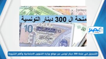 التسجيل في منحة 300 دينار تونس عبر موقع وزارة الشؤون الاجتماعية وأهم الشروط social.gov.tn