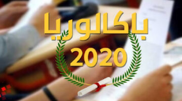 “عبر الموقع الوزاري” طريقة الاستعلام عن نتائج الباك تونس بالاسم ورقم الجلوس 2024