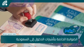 قرارات صارمة تنتظر المخالفين.. الخارجية تنشر تفاصيل ضوابط دخول المملكة خلال موسم الحج 1446 هـ وعقوبات تصل إلى 100 ألف ريال والسجن والترحيل