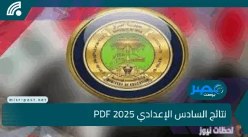 “روابط مباشرة”.. استعلم عن نتائج السادس الإعدادي 2025 PDF وخطوات سريعة لمعرفة نتيجتك إلكترونيًا