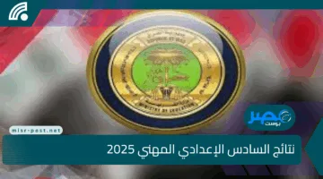 عاجل| روابط تحميل نتائج السادس الإعدادي المهني 2025 PDF عبر موقع وزارة التربية – اكتشف نتيجتك الآن بسهولة