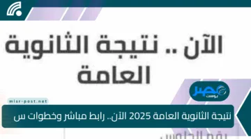 نتيجة الثانوية العامة 2025 الآن.. رابط مباشر وخطوات سهلة للاستعلام من الموقع الرسمي